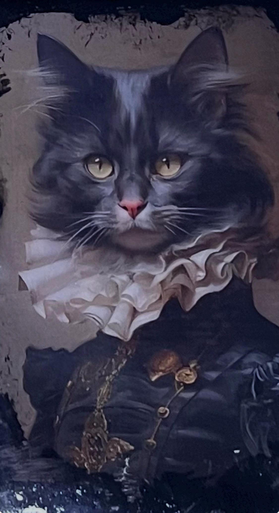 Sophisticated Cat Portraits Drink Coasters