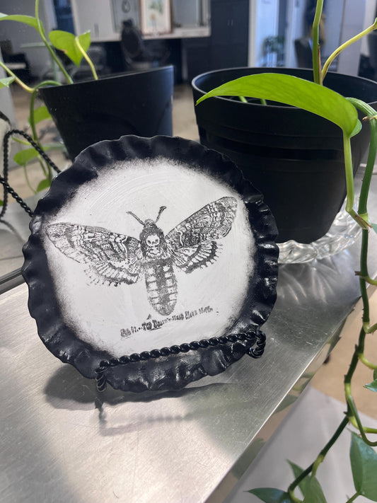 Ceramic decorative plate w/Moth