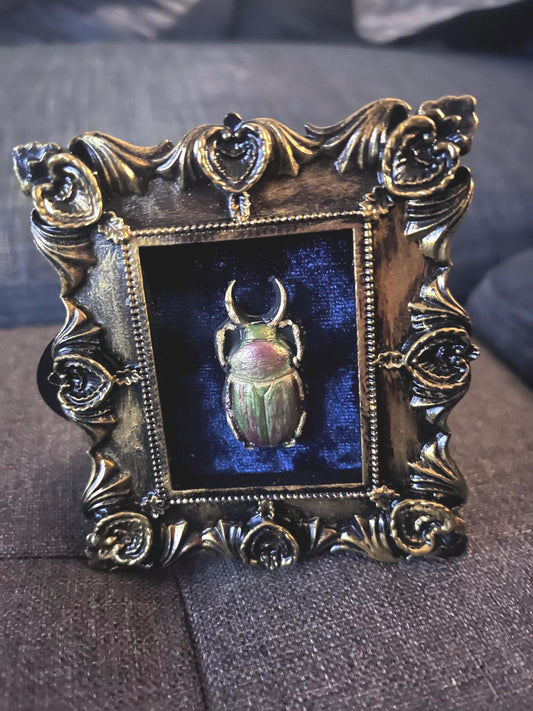 Square frame w/ceramic  resin beetle