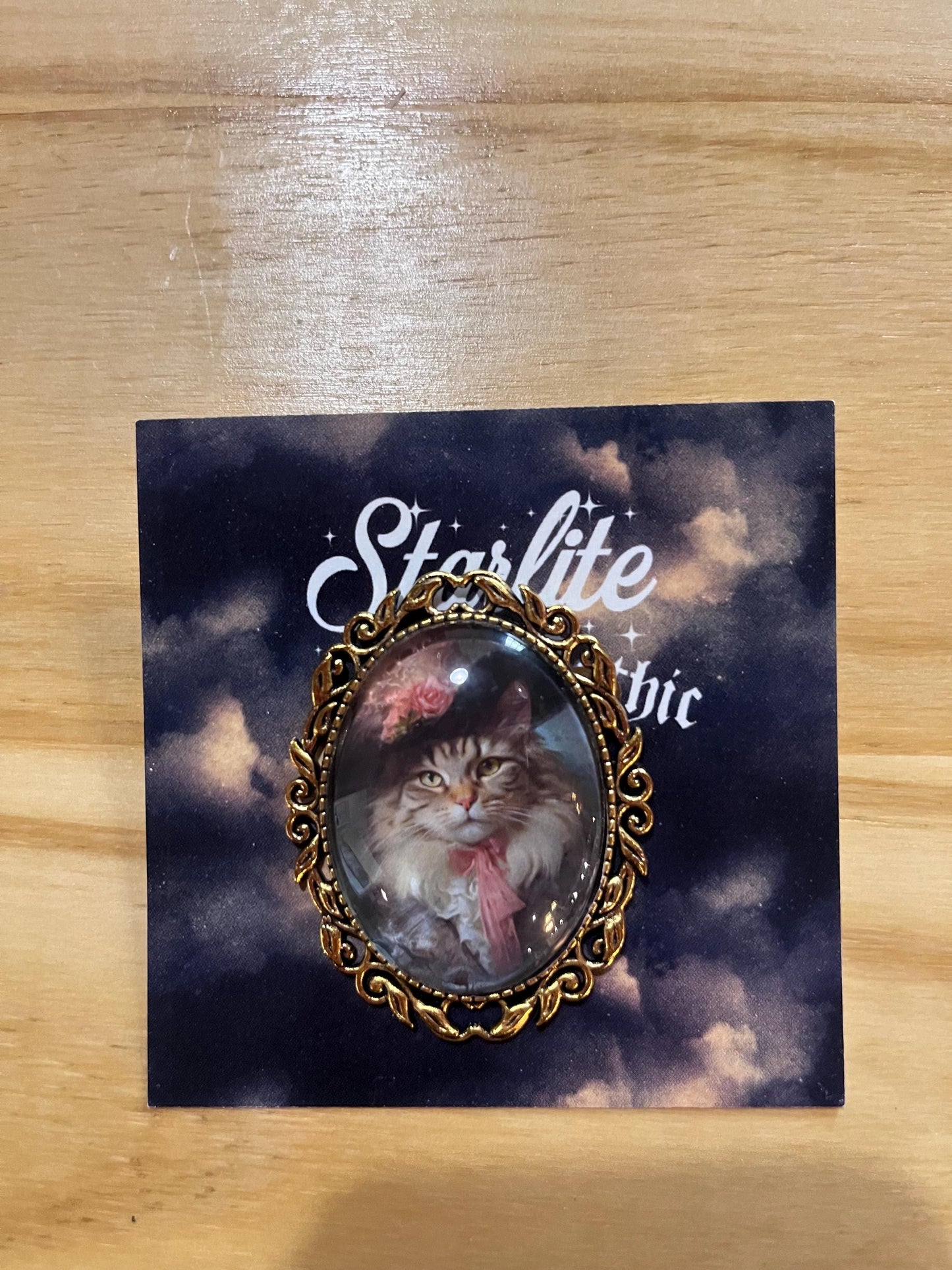 Fancy cat brooch